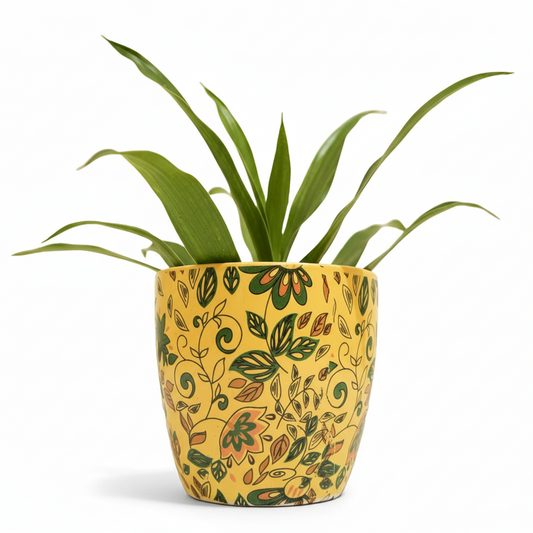 Sunrays Plant Pot