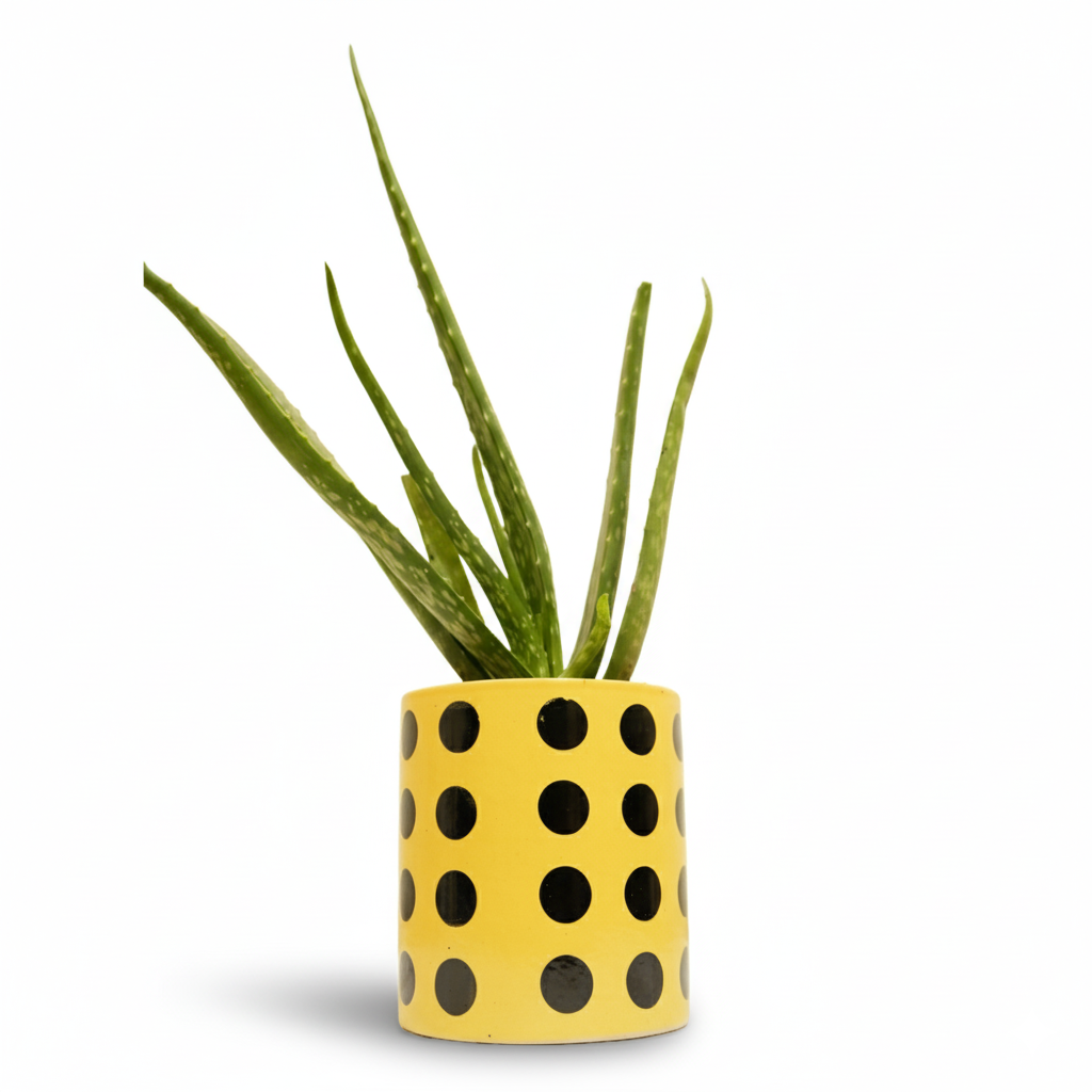 Yellow Polka Dot Plant Pot