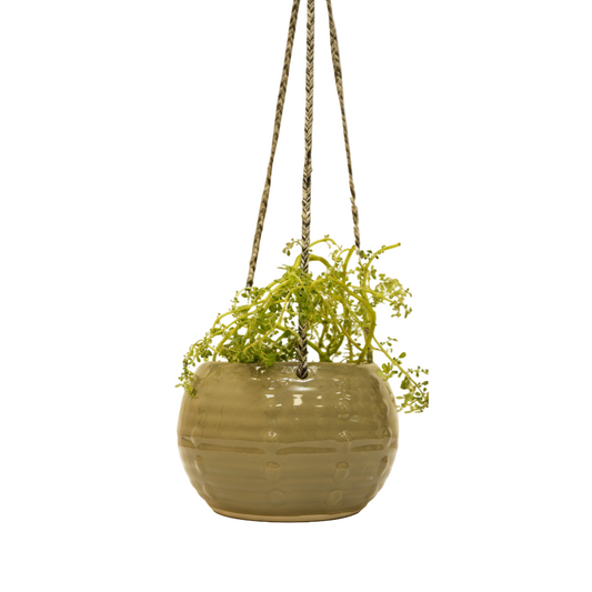 Verdant Drops Hanging Plant Pot