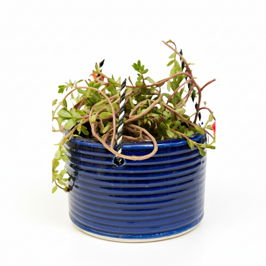 Indigo Ripple Hanging Plant Pot