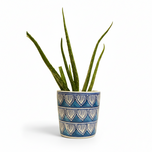 Aegean Bloom Plant Pot