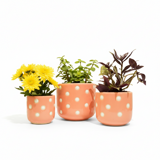 Dotty Delight Plant Pots