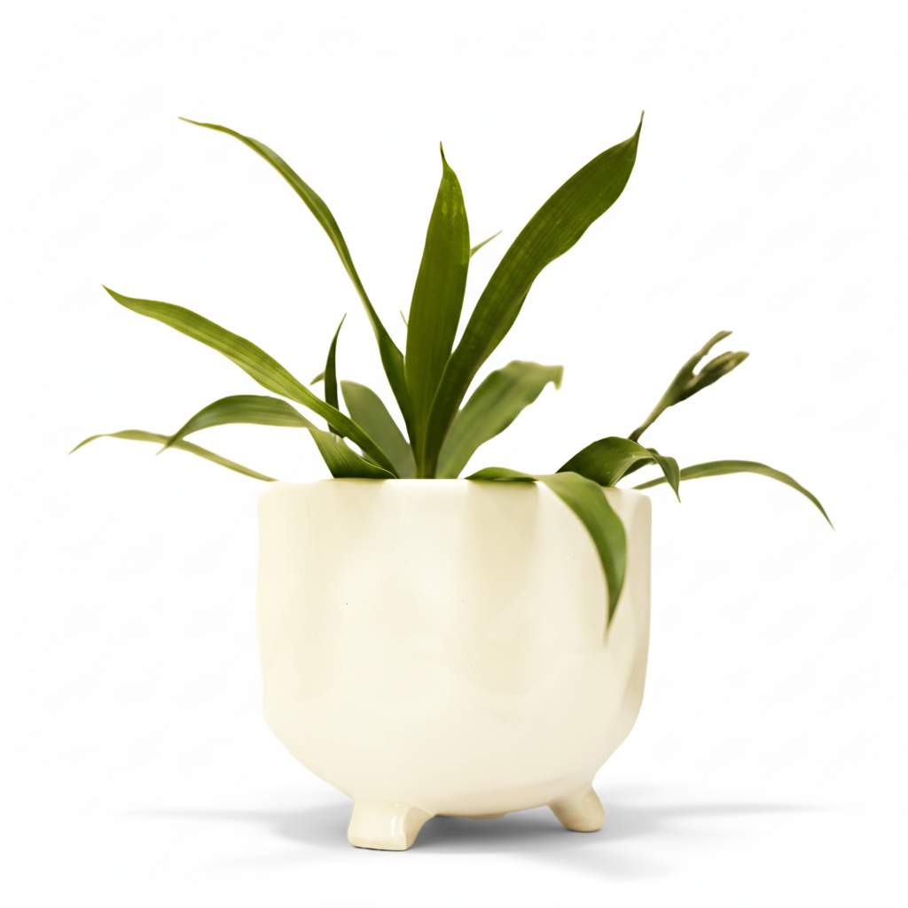 Tranquil Wave Plant Pot