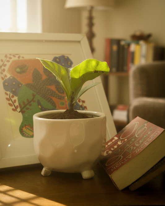 Tranquil Wave Plant Pot