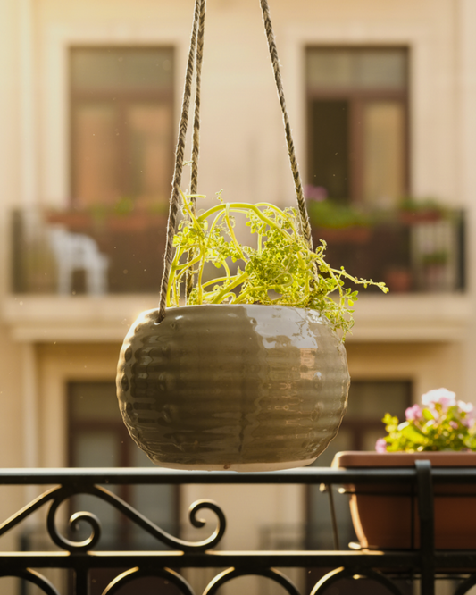 Verdant Drops Hanging Plant Pot