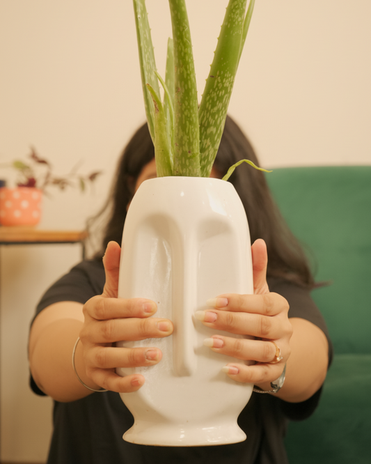 Stone Face Plant Pot